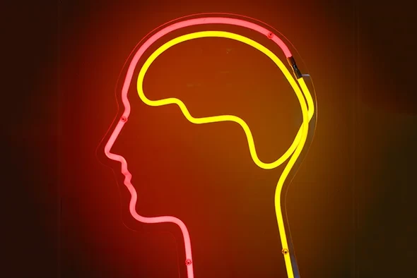 The Connection Between IQ and Memory Improvement Techniques